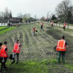 bloemrijke grasland