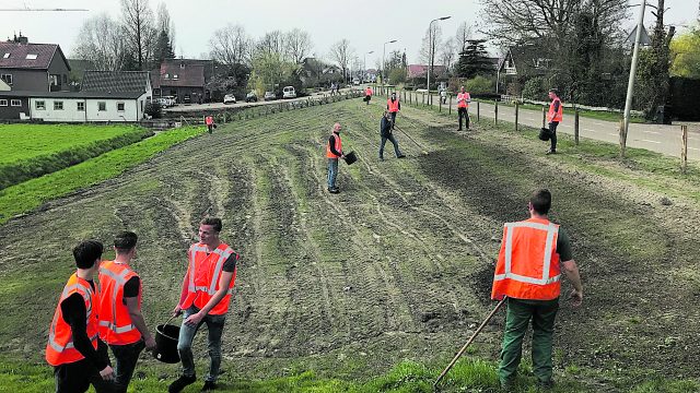 bloemrijke grasland
