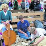 schaapscheerfeest kinderboerderij