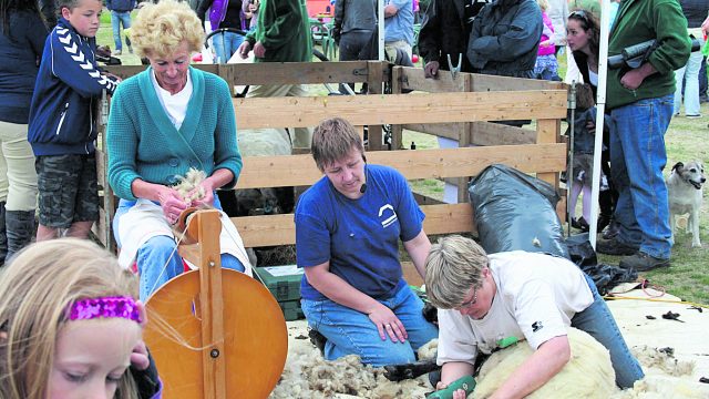 schaapscheerfeest kinderboerderij