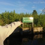 duurzame excursie met DGAalsmeer