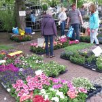 geraniummarkt en braderie