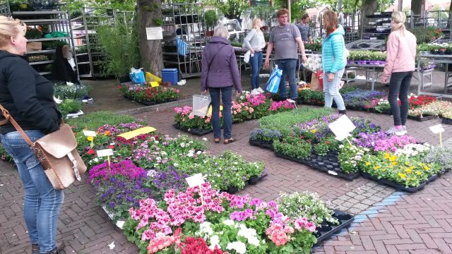 geraniummarkt en braderie