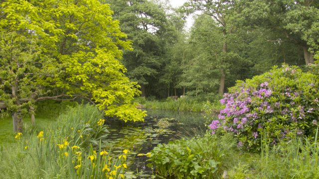 Open dag tuin Bram de Groote