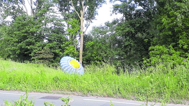 wandelen kunstwerken bloem