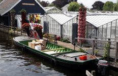 Aalsmeer (bijna) klaar voor Flower Festival