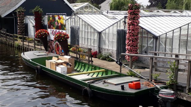 Aalsmeer (bijna) klaar voor Flower Festival