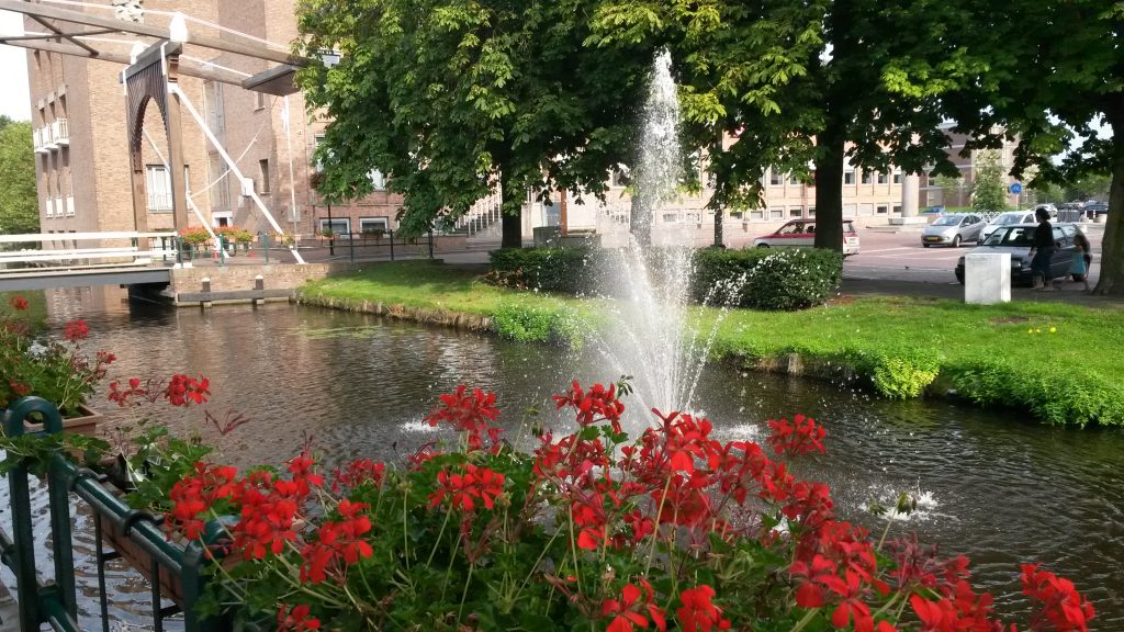 Meer mensen naar Aalsmeer verhuisd dan vertrokken