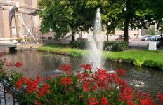 entrees van Aalsmeer groener