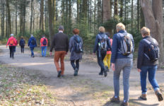4e Wandel Challenge in het Amsterdamse Bos