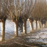 Knotgroep aan de slag in Uithoorn