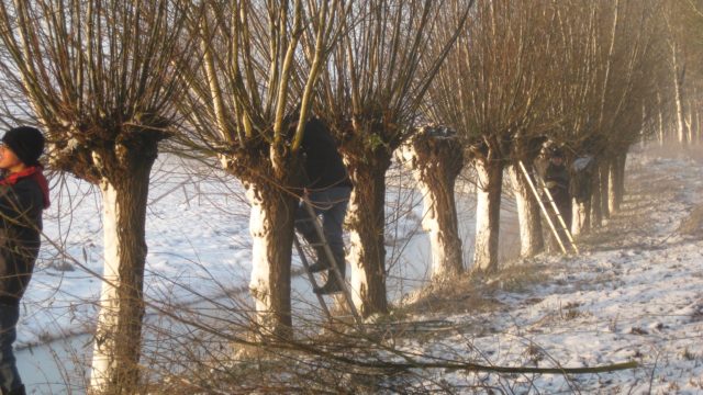 Knotgroep aan de slag in Uithoorn