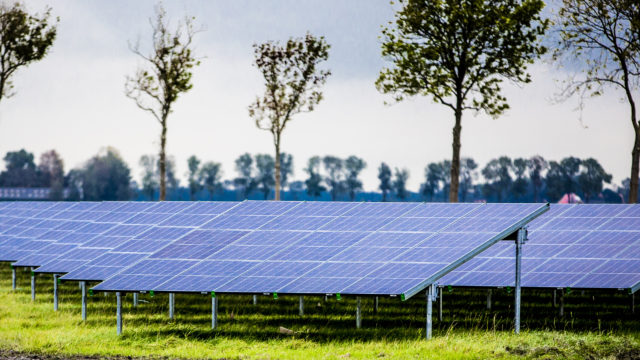 Grootste zonneweide van Flevoland in aanbouw in Emmeloord. Foto Rob Voss