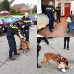 agenten met honden op Jozefschool