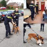 agenten met honden op Jozefschool
