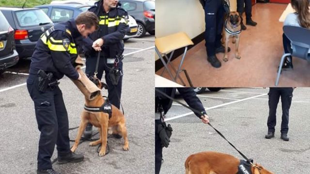 agenten met honden op Jozefschool