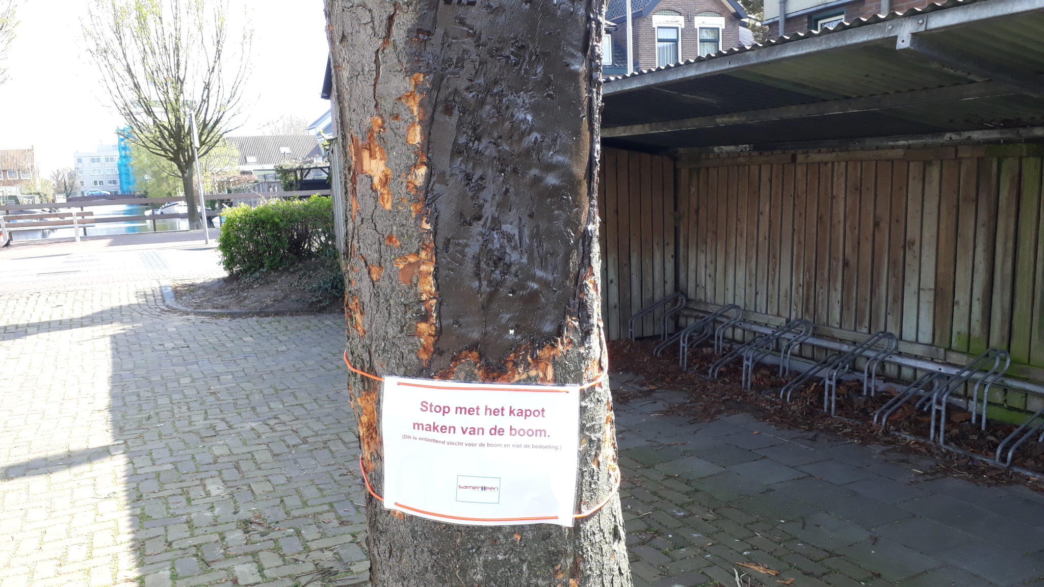 Kastanjeboom bij Samen Een 'gestript' Nieuwe Meerbode Kastanjeboom bij Samen Een 'gestript' Nieuwe Meerbode