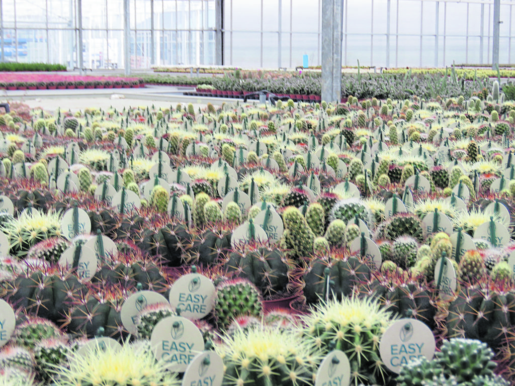 Kom in de Kas: Leuk en leerzaam dagje uit