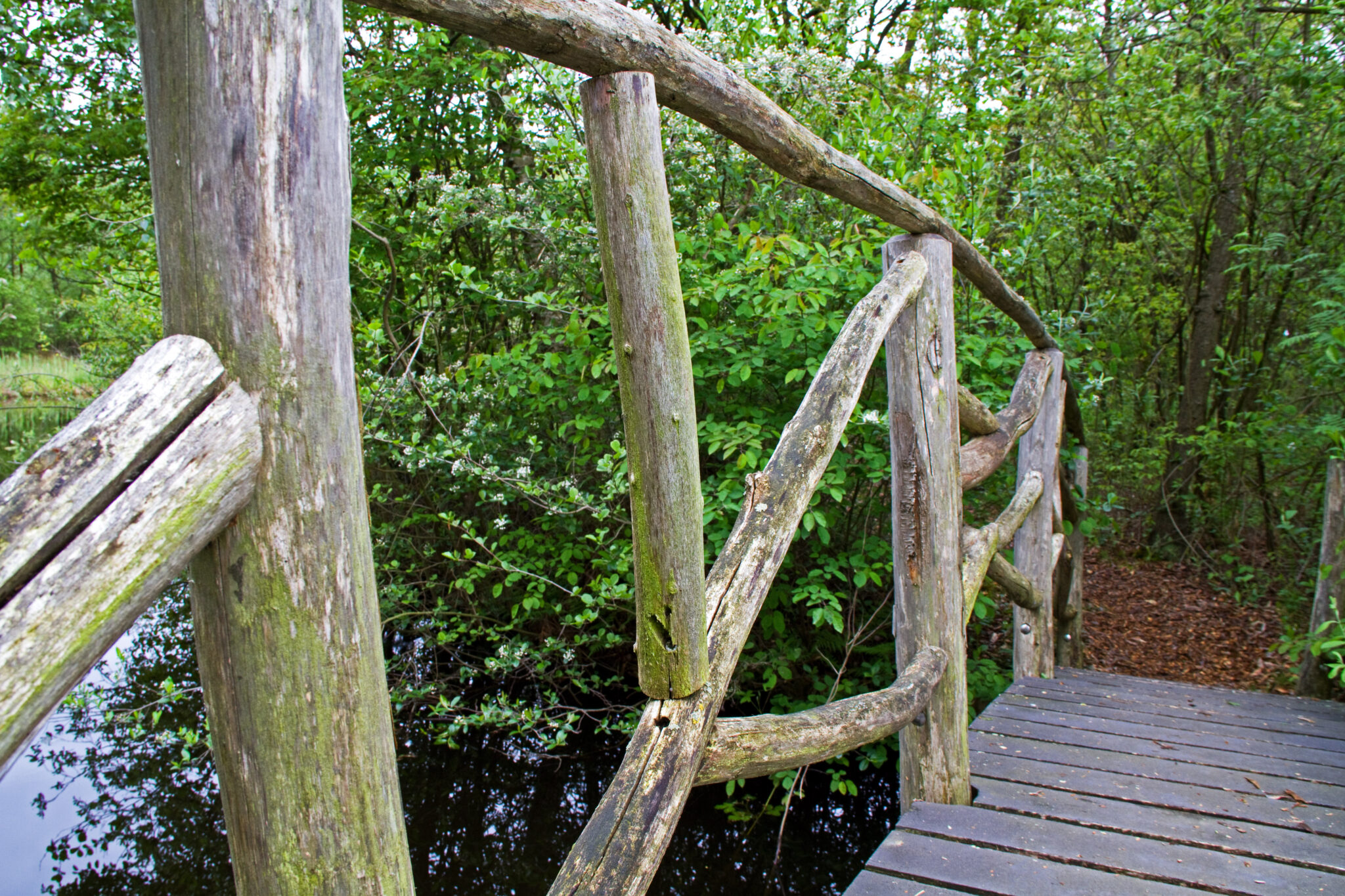 excursie-naar-90-jarige-lusthof-de-haeck-nieuwe-meerbode