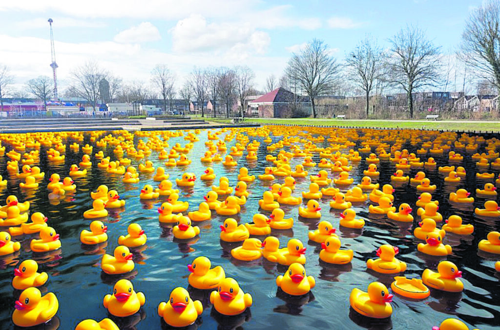 Zaterdag rommelroute en badeendenrace in Hornmeer