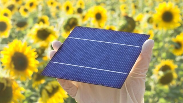 Zonnepanelen