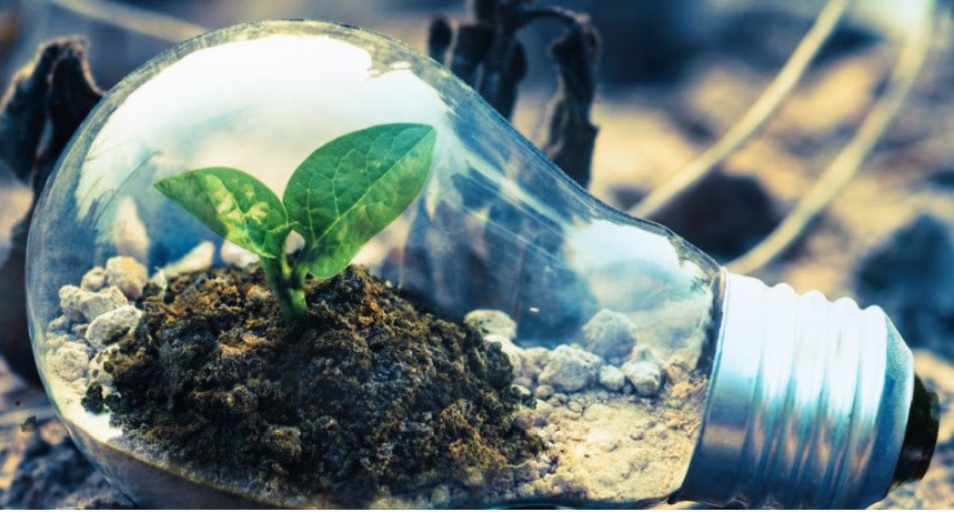 Klimaatexamen Aalsmeer: Geslaagd en geïnspireerd