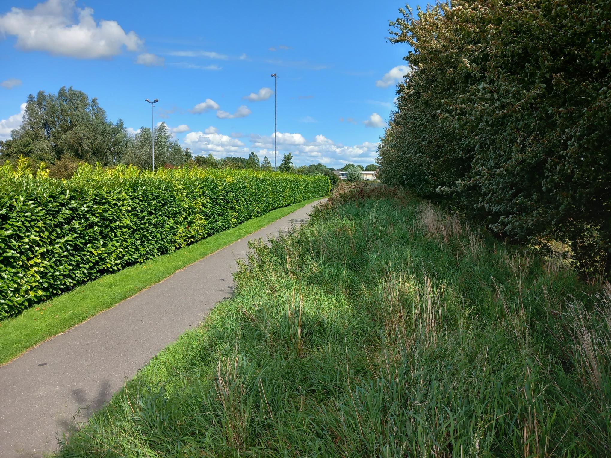 Ecologisch maaien: Ruimte voor natuur in Kudelstaart