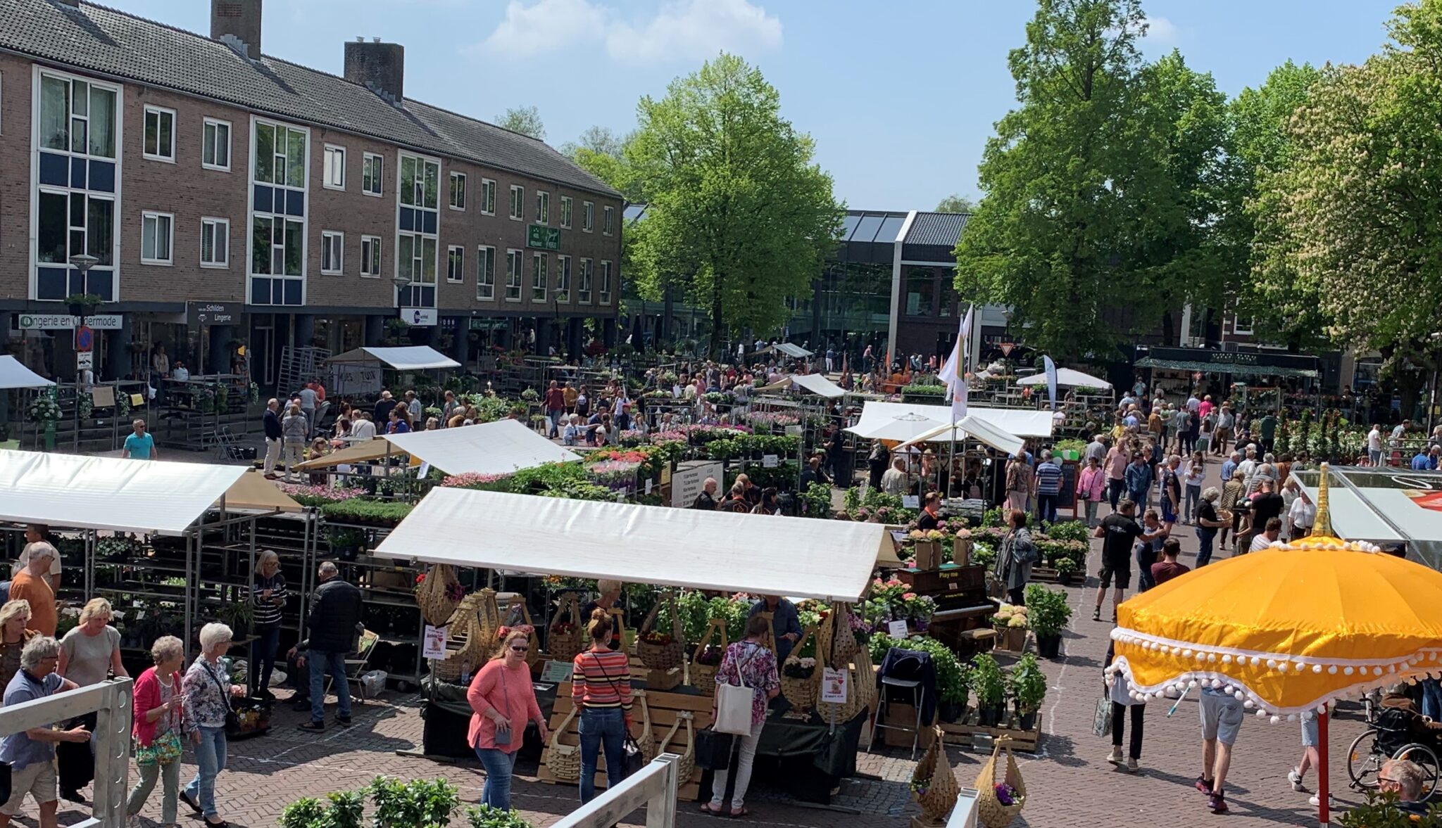 Geraniummarkt en braderie in 4 straten Centrum
