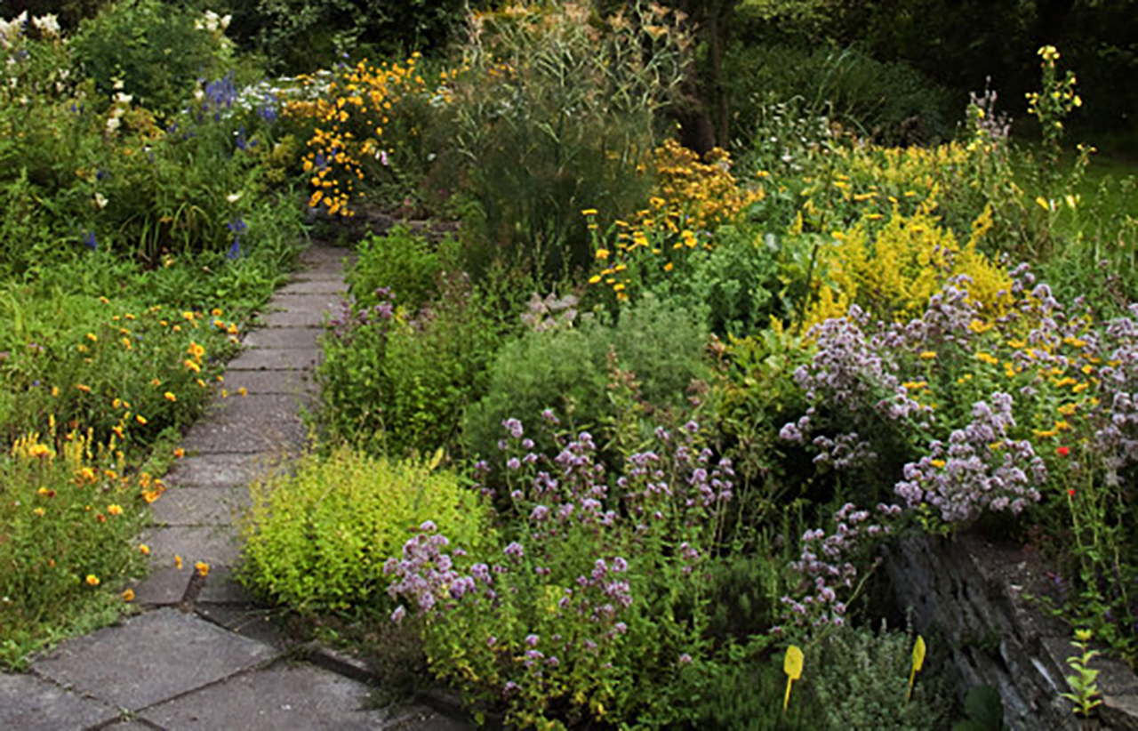Open middag Natuurtuin Bram de Groote