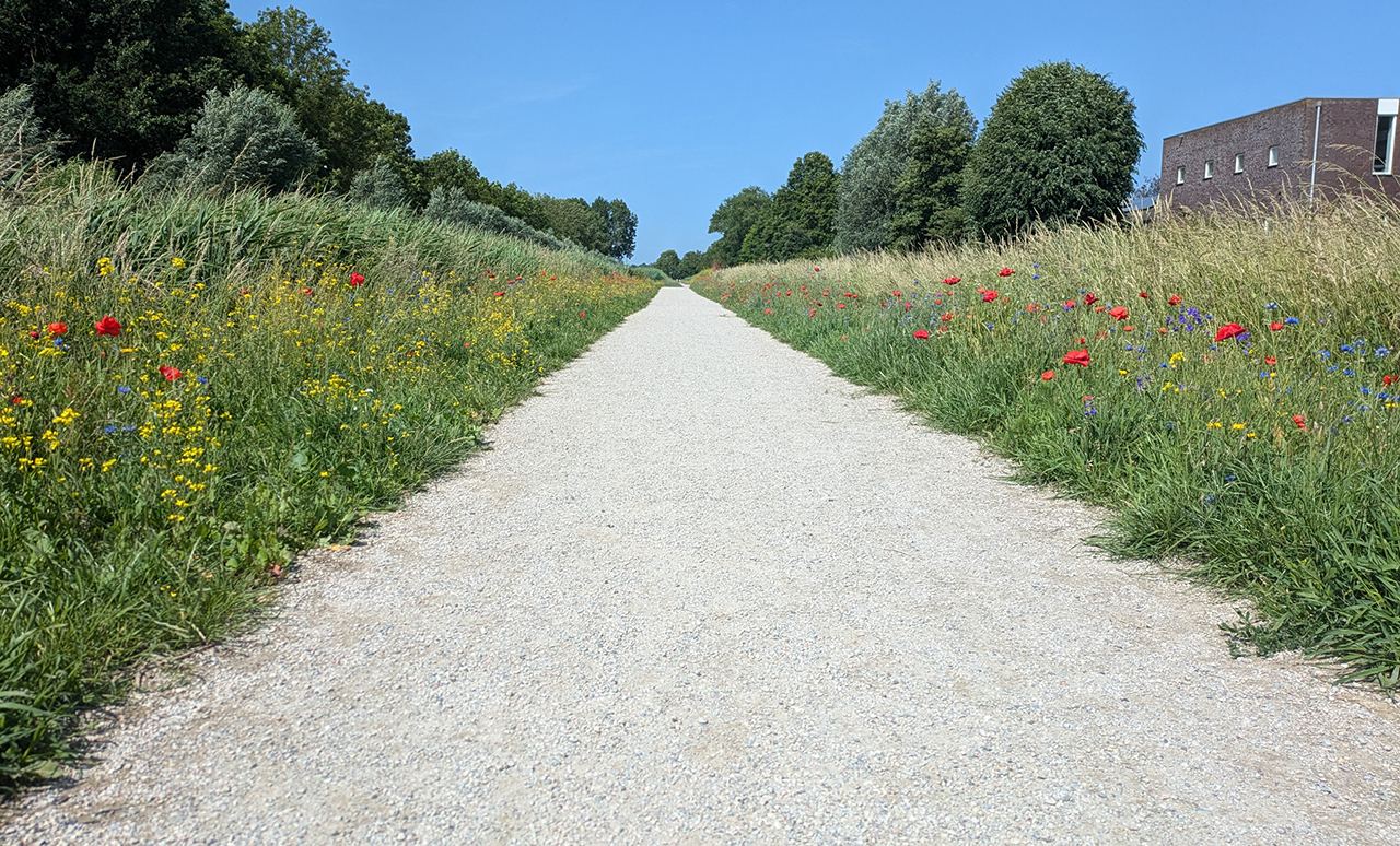 Nieuw wandelnetwerk verbindt dorpen De Ronde Venen