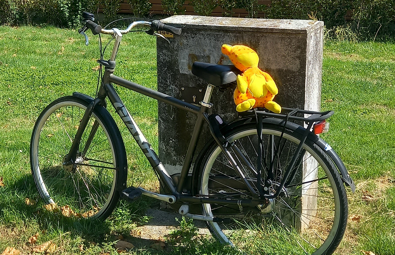 Pikachu houdt de wacht op een verlaten fiets