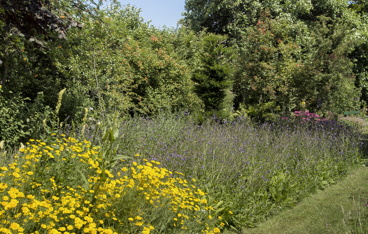 Zomer in Tuin Bram de Groote