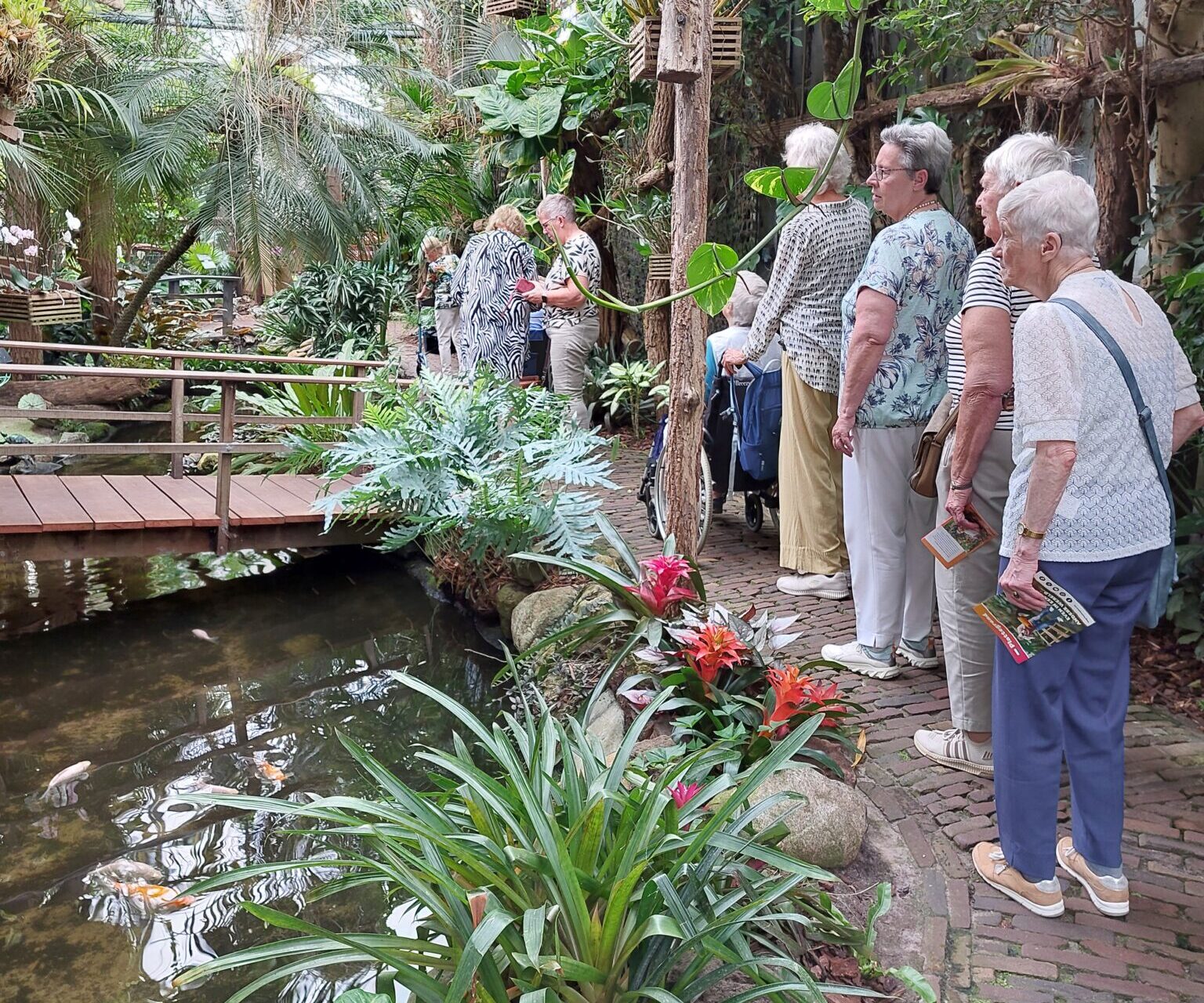Op avontuur in Pantropica met de Zonnebloem