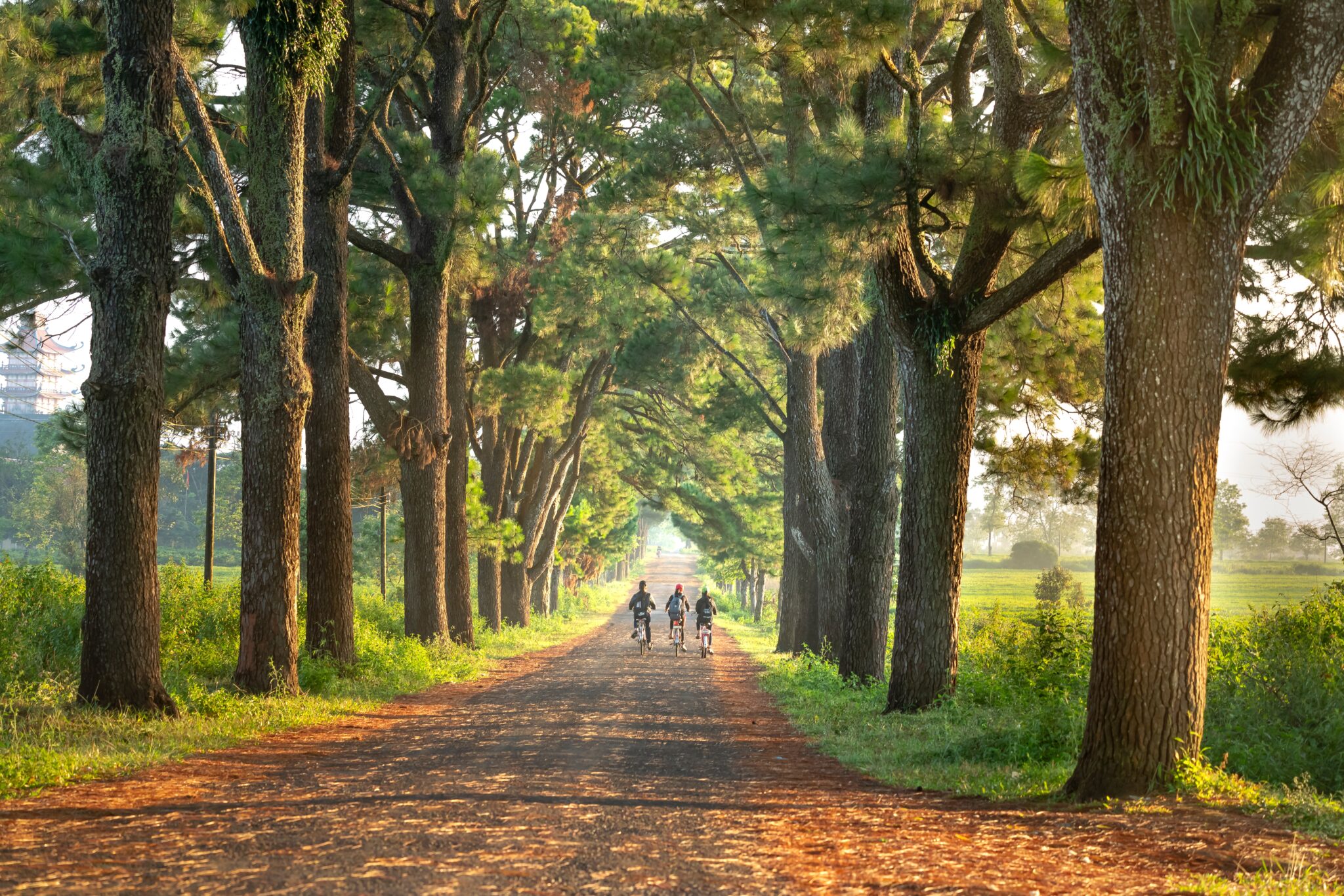 Goed voorbereid op pad: Wat neem je mee voor een dagje naar een Landgoed bij Aalsmeer?