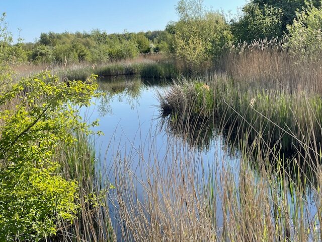 Op ontdekking in het Schinkelbos