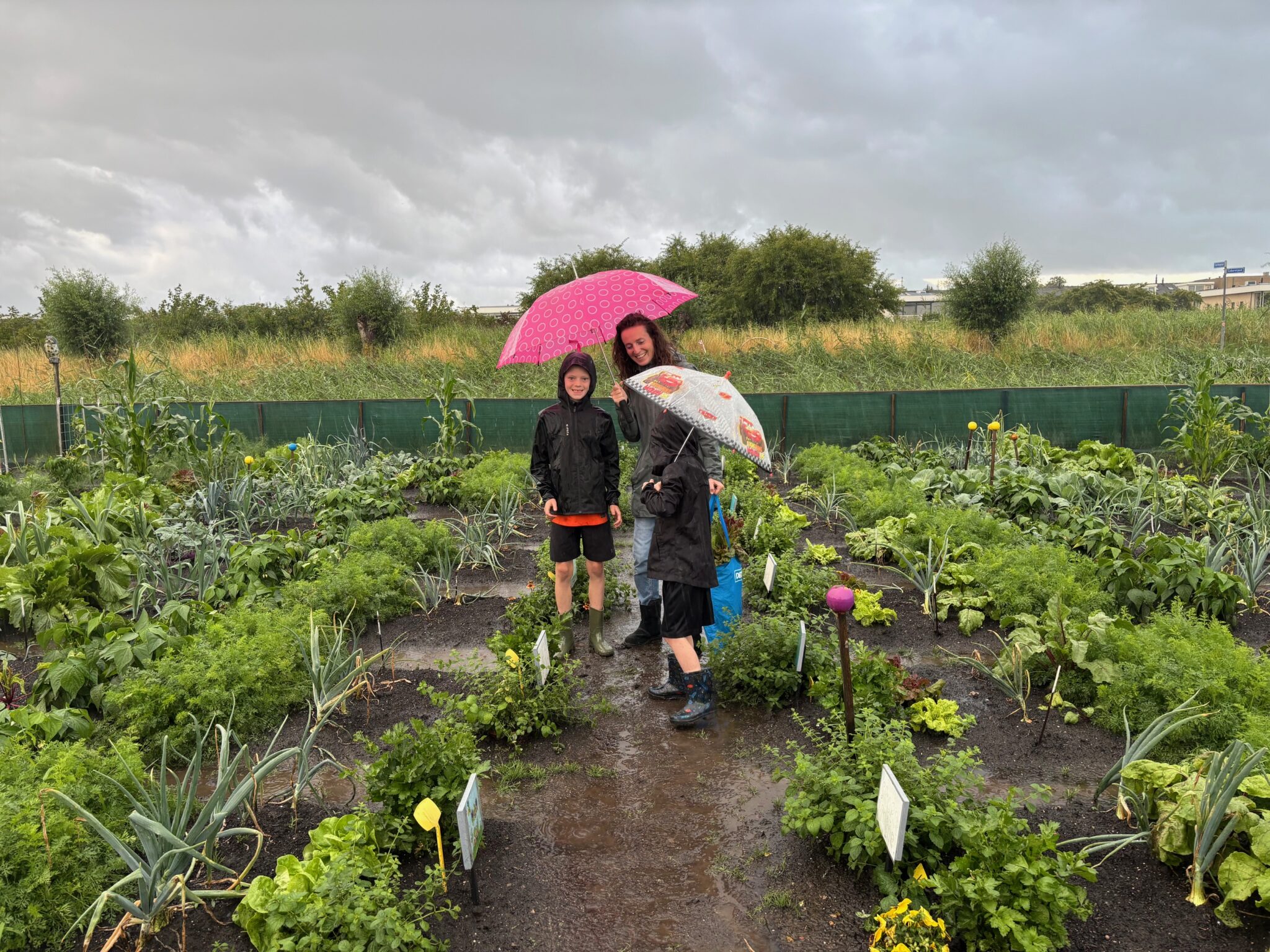 Scholieren blij met oogst uit De Smikkeltuin