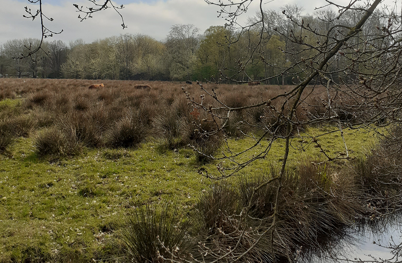 Gezellig samen in beweging