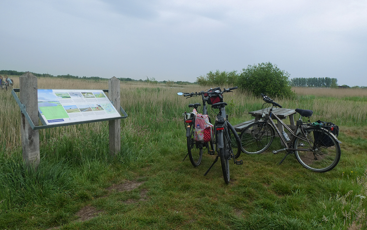 Laatste IVN-zomerfietstochten: natuurbeleving op de pedalen
