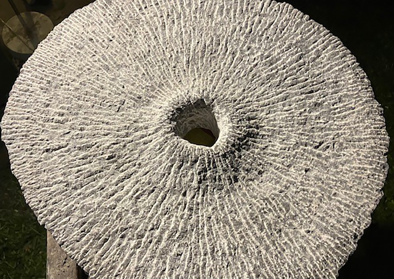 Kunst in Fort Nigtevecht