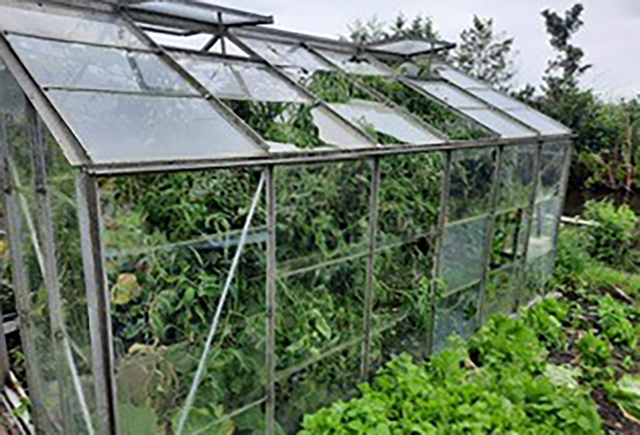 Moestuinen Demmerik slachtoffer van nachtelijke vernielingen