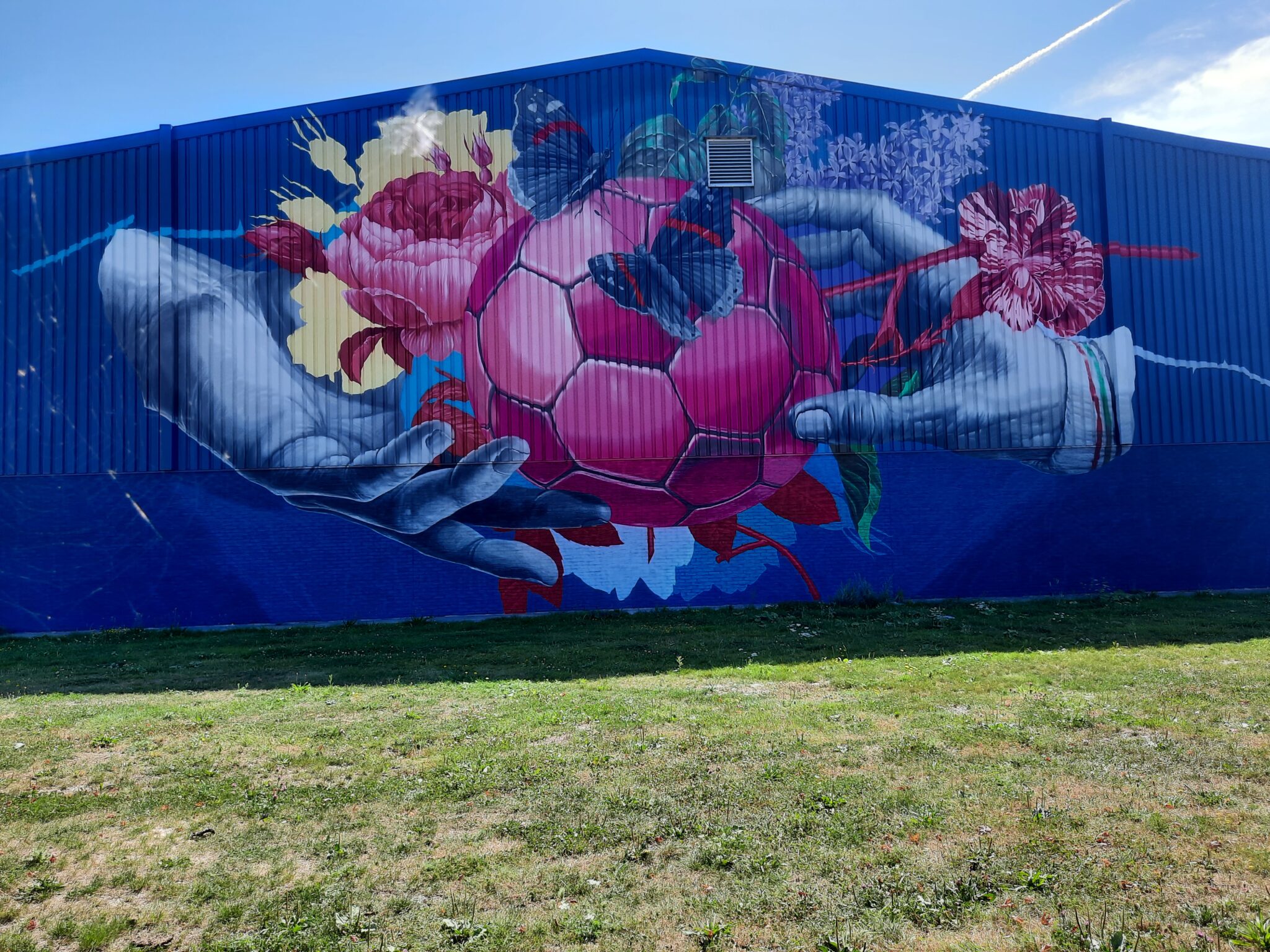 Aalsmeerse muurschildering is af!