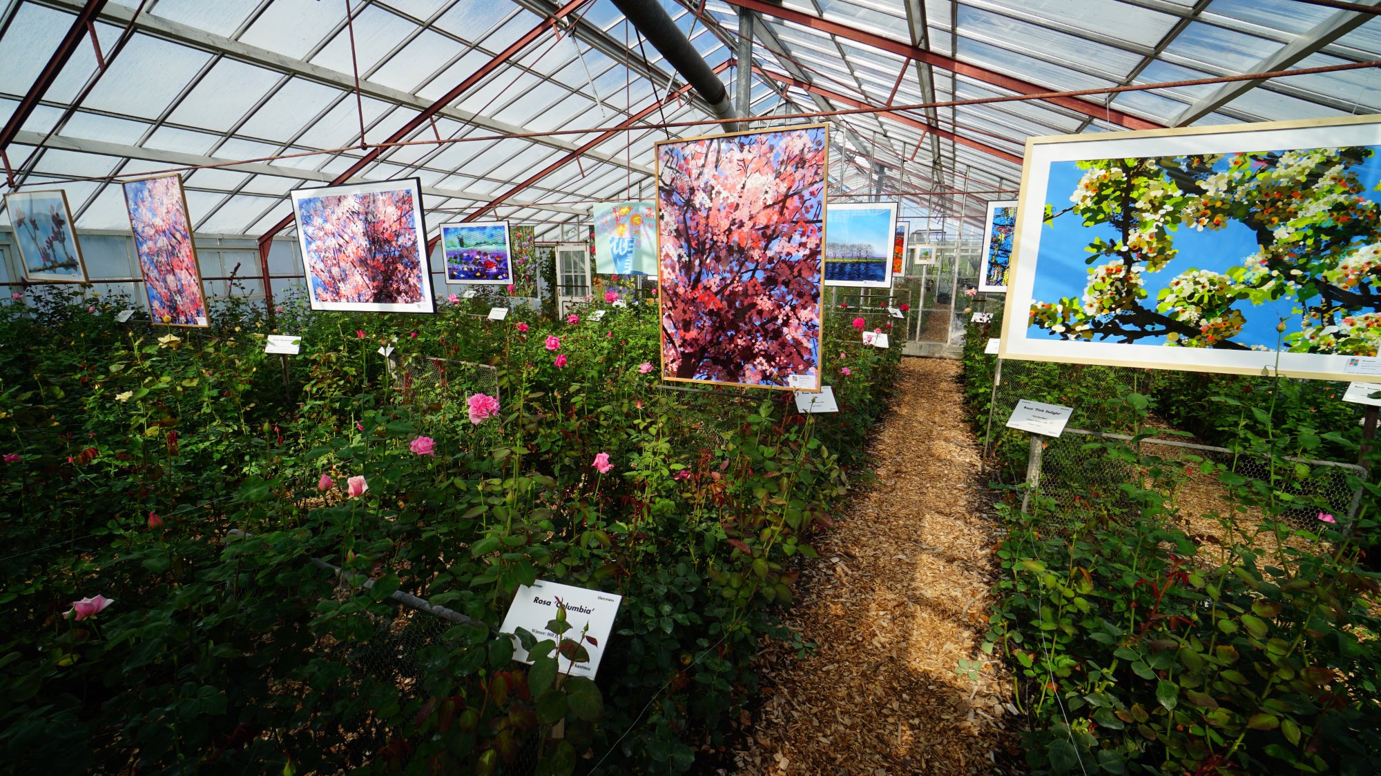 Kunstroute Aalsmeer op 18 bijzondere locaties