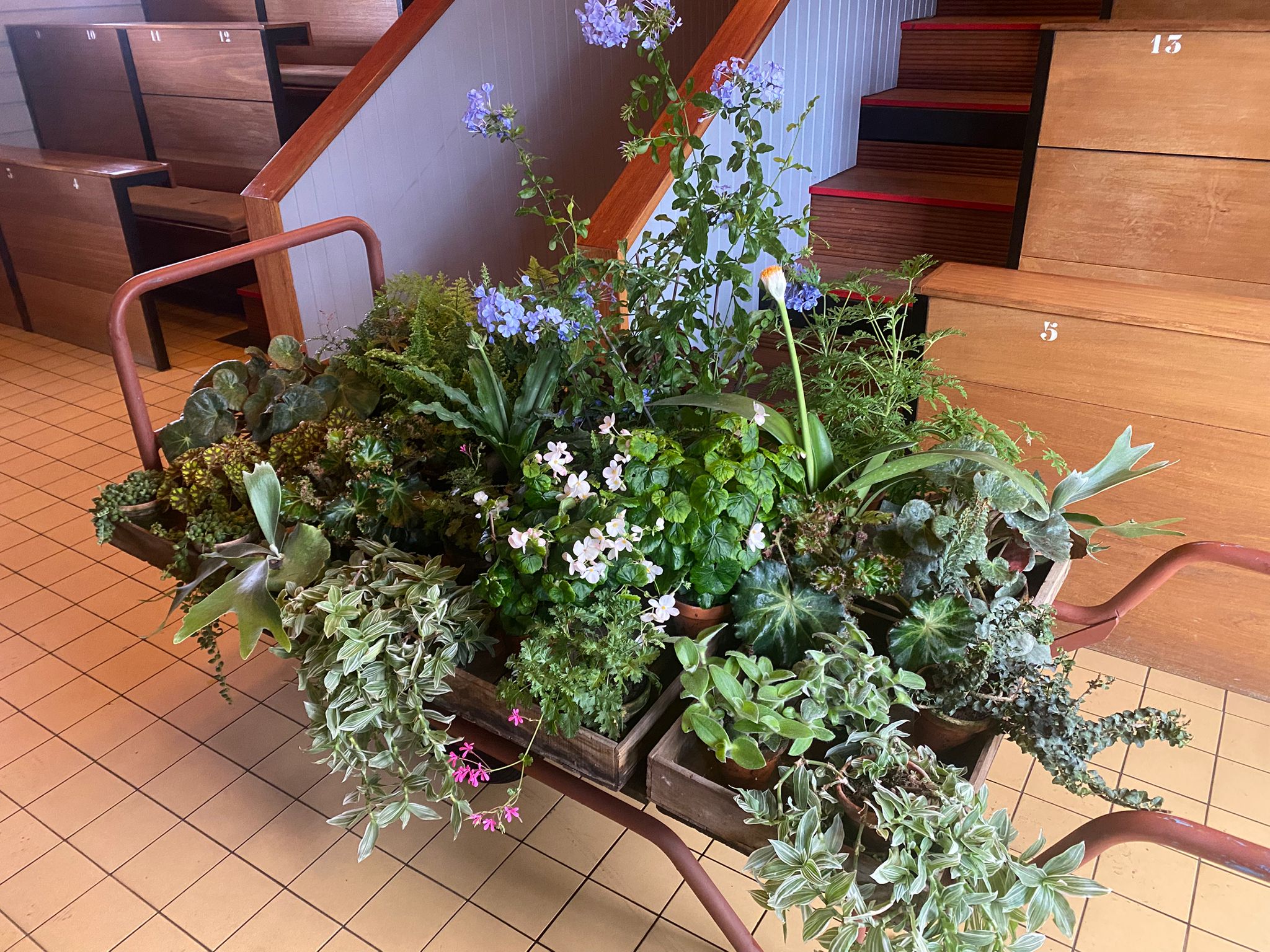 Historische Tuin sluit seizoen met verkoopdag