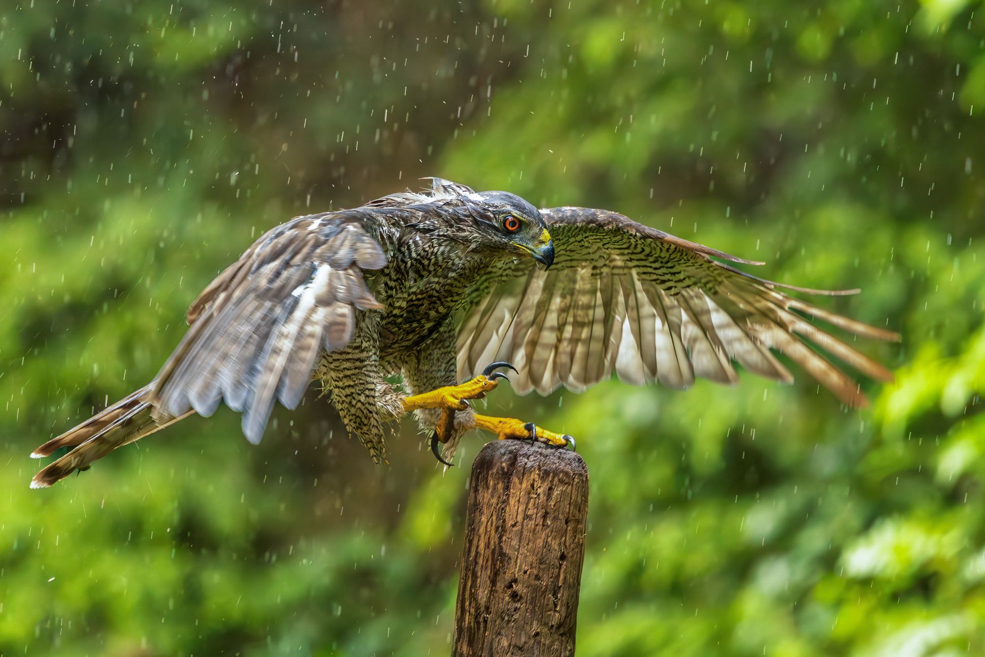 Expositie Fotogroep Aalsmeer: ‘Lenzen en Lezen’