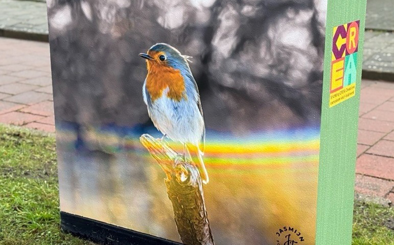 Kunstkastjes brengen kleur in Uithoorn