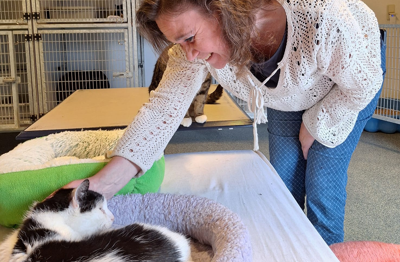 Help De Zwerfkat; het levensverhaal van twee bijzondere vrouwen