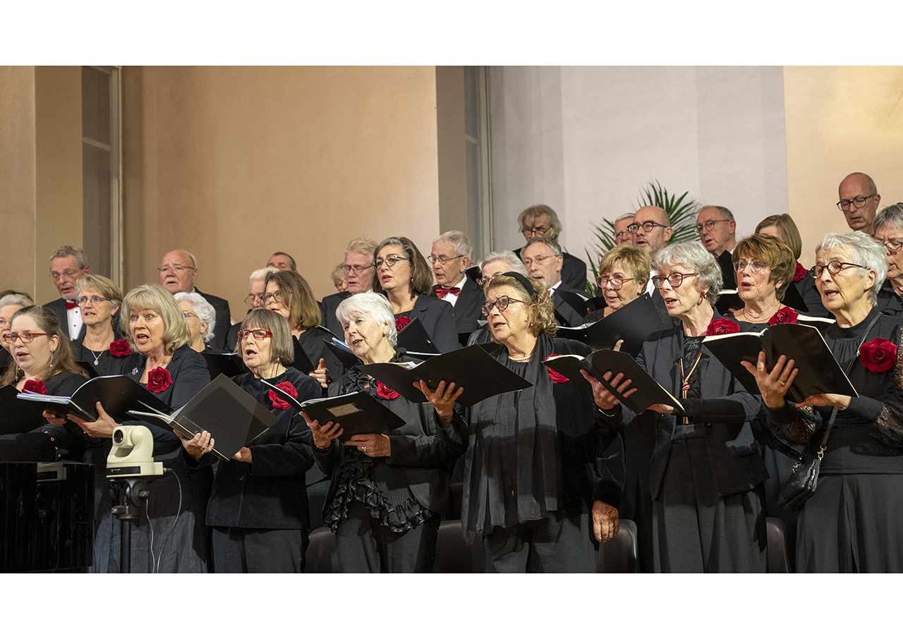 Projectzangers welkom bij Amicitia
