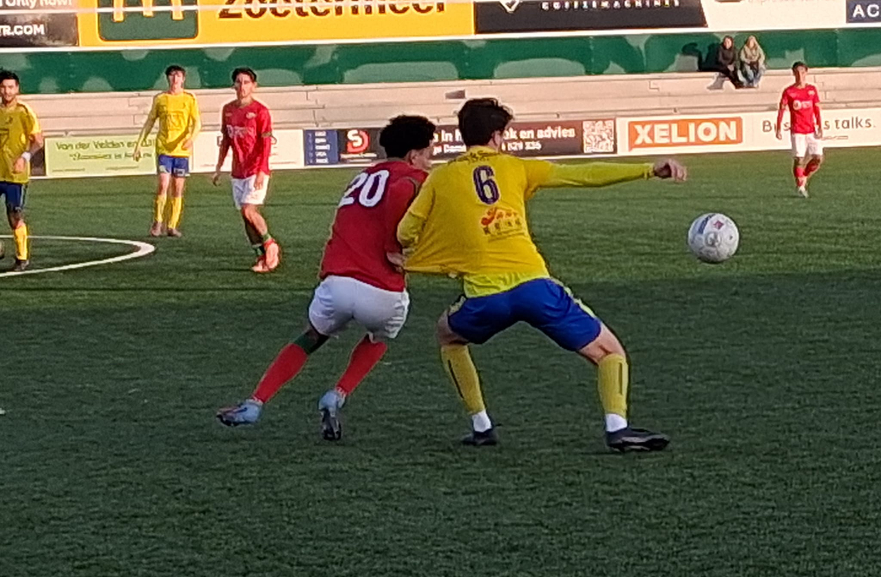 Legmeervogels onderuit bij efficiënt DSO