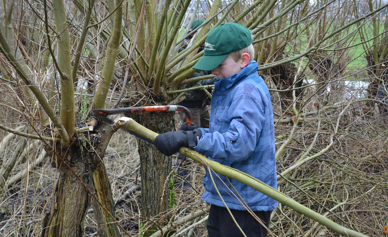 Knotten voor kinderen in het Enge Bos