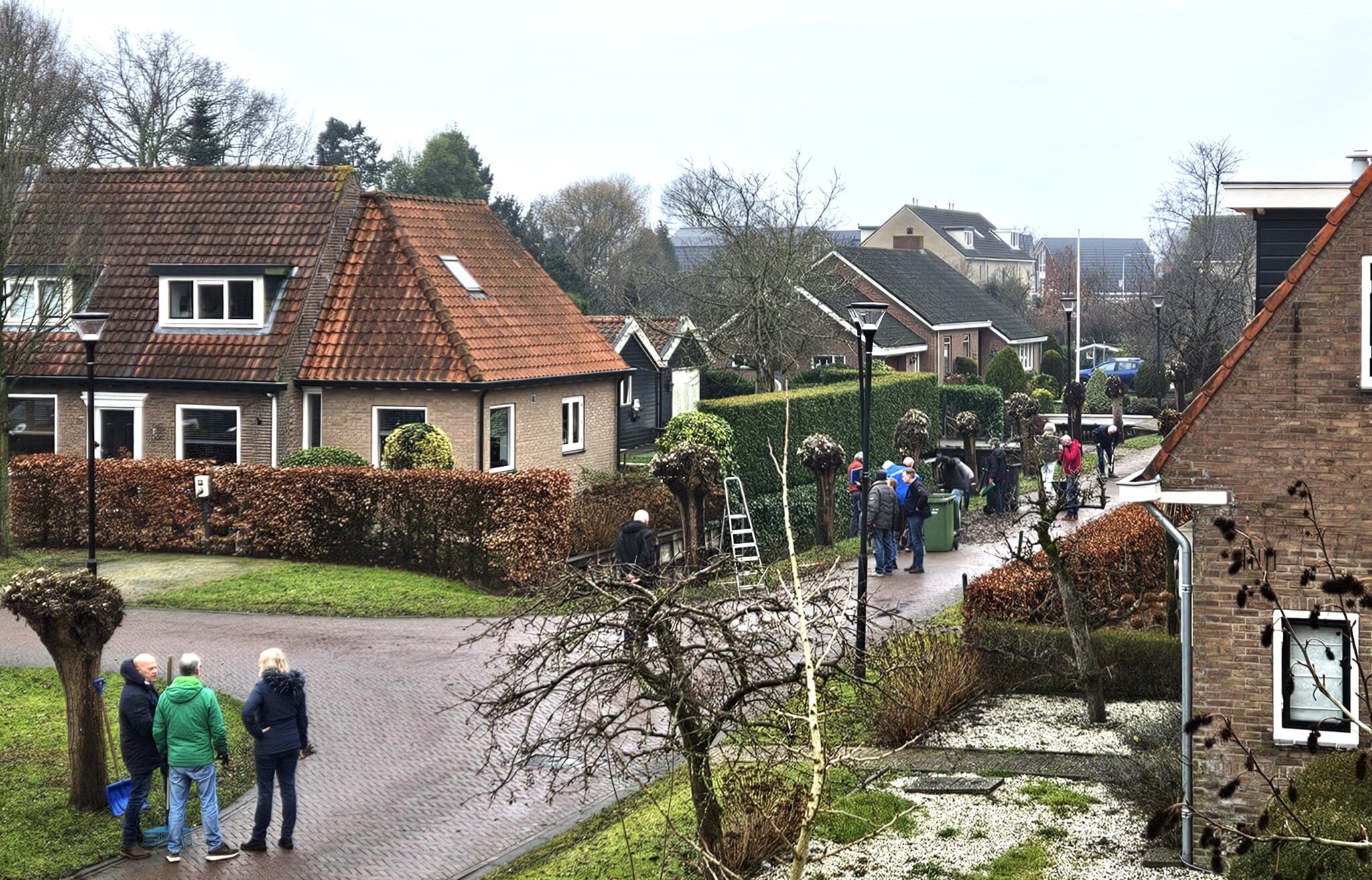 Wilgen weer geknot door bewoners Wilgenlaan
